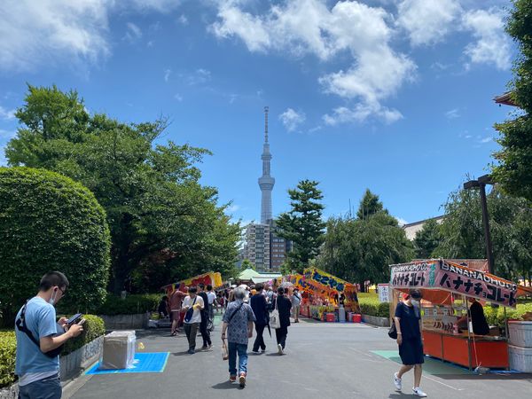 日本・東京都「東京旅行（浅草）」の写真
