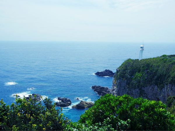 日本・愛媛県「愛媛・高知 旅行」の写真