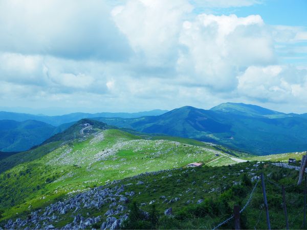 日本・愛媛県「愛媛・高知 旅行」の写真