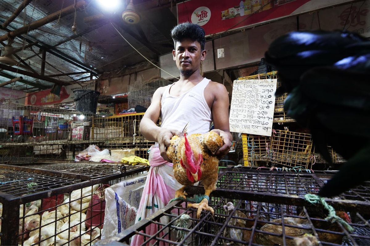 チョットグラムの市場