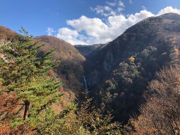 日本・長野県「志賀高原」の写真