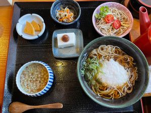 熊本杖立温泉の鯉のぼり
山川温泉と吾亦紅のそば