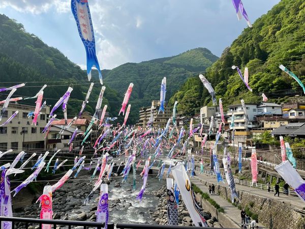 日本・熊本県「熊本小国旅行」の写真：熊本杖立温泉の鯉のぼり
山川温泉と吾亦紅のそば