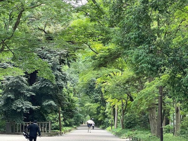 日本・京都府「京都祇園旅行」の写真：下鴨神社と縁切り神