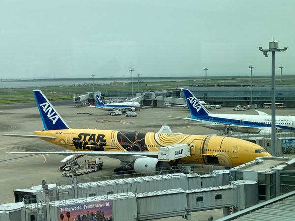 日本・大阪府「大阪・夏の陣2022」の写真：出発前の羽田空港で腹ごしらえ。

