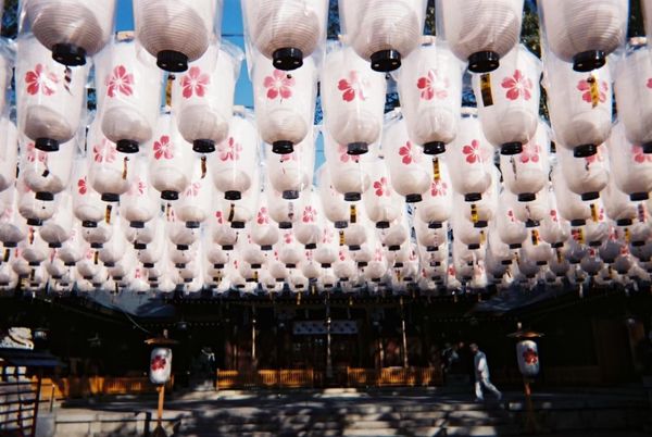 日本・京都府「兵庫・京都旅行」の写真