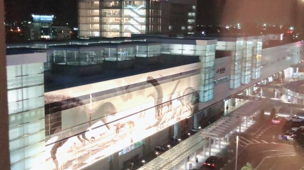 日本・福井県「福井」の写真