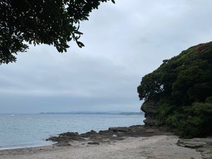 京急ホテル観潮荘の目の前は
惜しまれつつ閉園した
旧油壺マリンパーク🐬
キ...