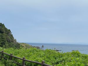 観音崎公園
博物館で東京湾の生き物をいろいろ見られました
手作りの展示説明...