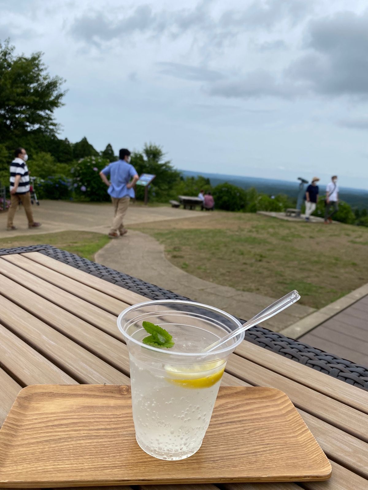野見金山公園⛰
一面に広がる紫陽花が美しい✨
山頂からは外房方面が一望でき...