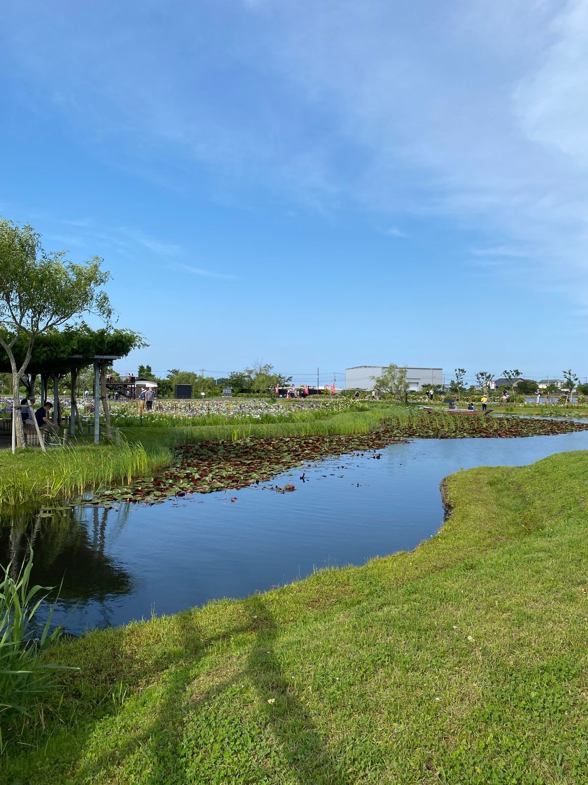 あやめパークであやめを堪能😆
綺麗でした✨
