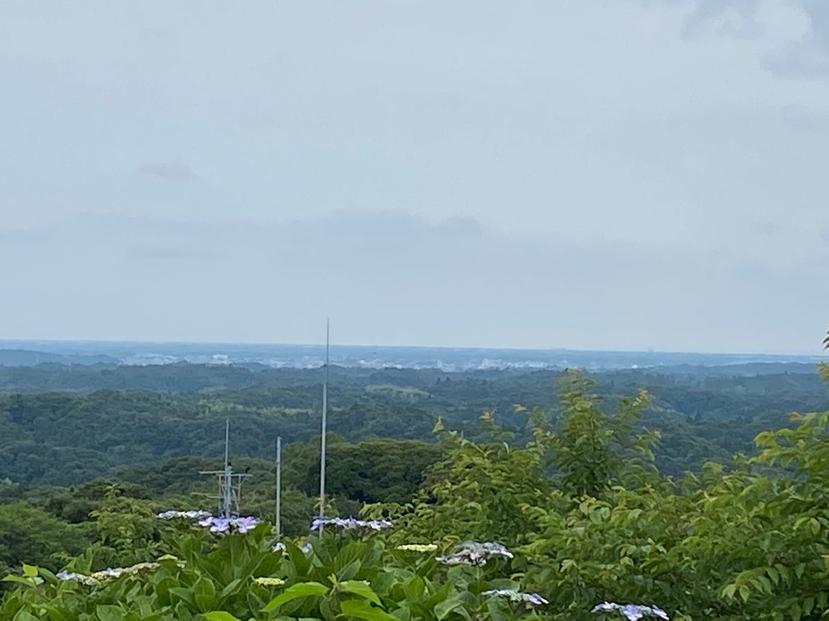 野見金山公園⛰
一面に広がる紫陽花が美しい✨
山頂からは外房方面が一望でき...