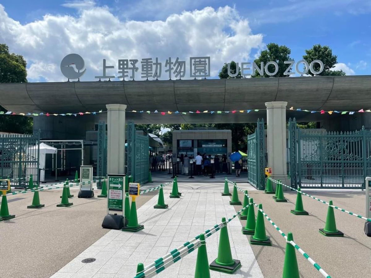 シャオシャオとレイレイ