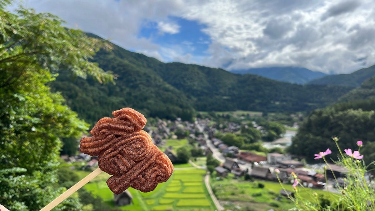 モネの池の透明感に癒されました。展望台は白川郷が一望できてお勧めです。立山...