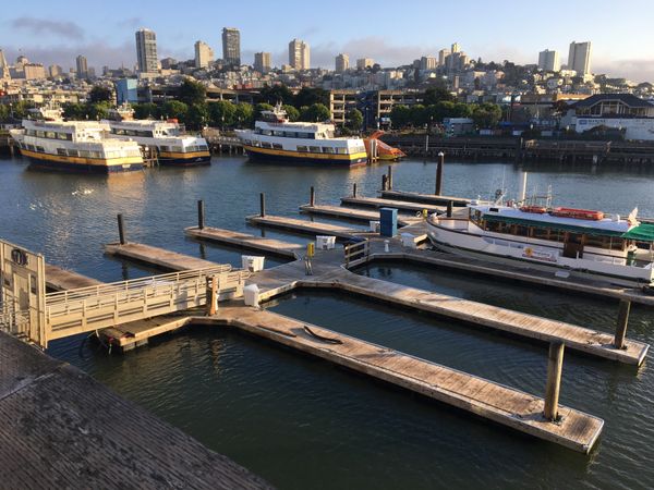 アメリカ(米国)・サンフランシスコ「アメリカ出張」の写真