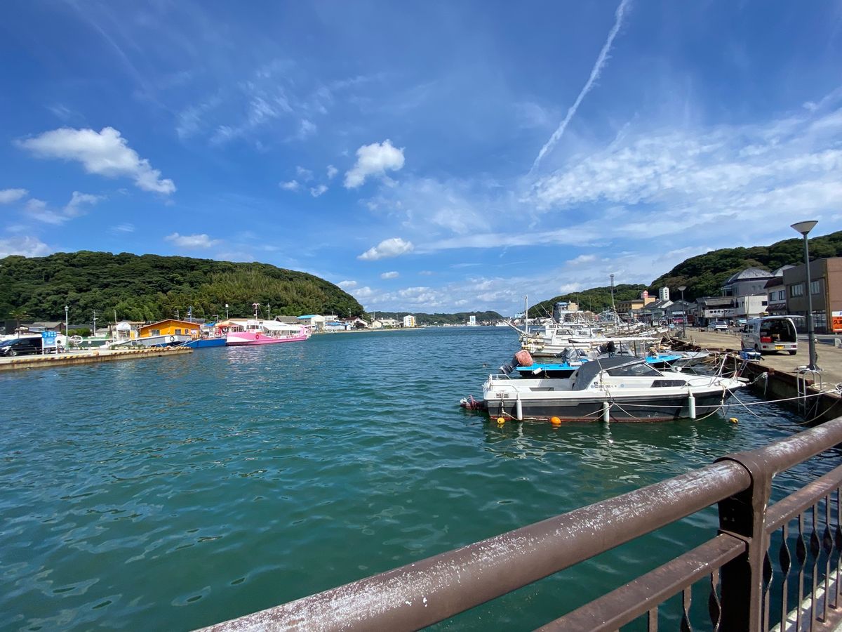 呼子の朝市！
11時くらいから混み始めた！