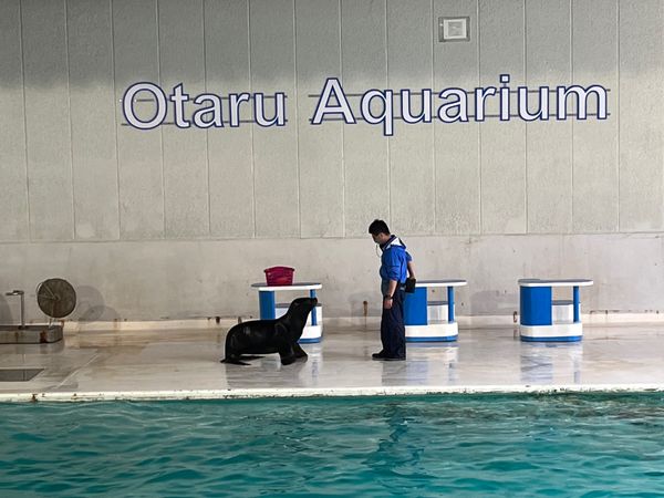 日本・北海道「積丹、定山渓の旅」の写真