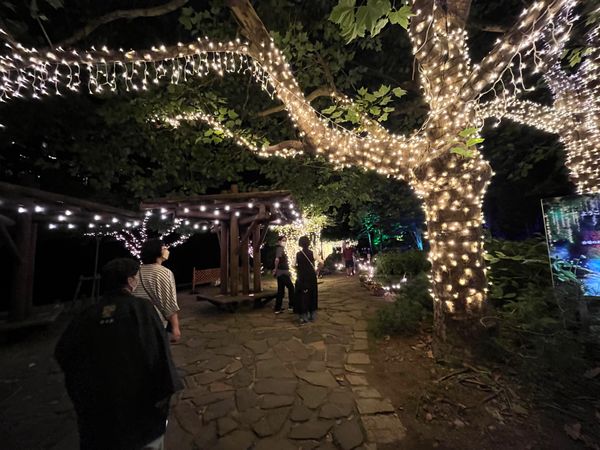 日本・北海道「積丹、定山渓の旅」の写真