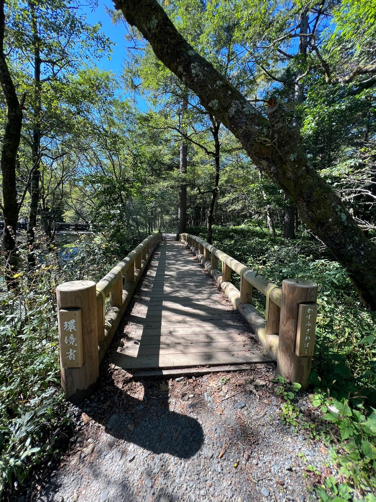 川沿いを歩いて大正池へ