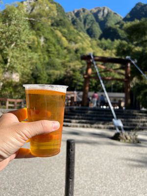 大正池から河童橋に戻る

帰りは1時間強で到着

河童橋から大正池側は道も...