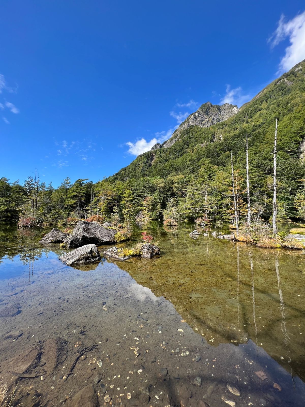 明神池へ
河童橋からは大体1時間弱で到着します
道は平坦な山道という感じで...