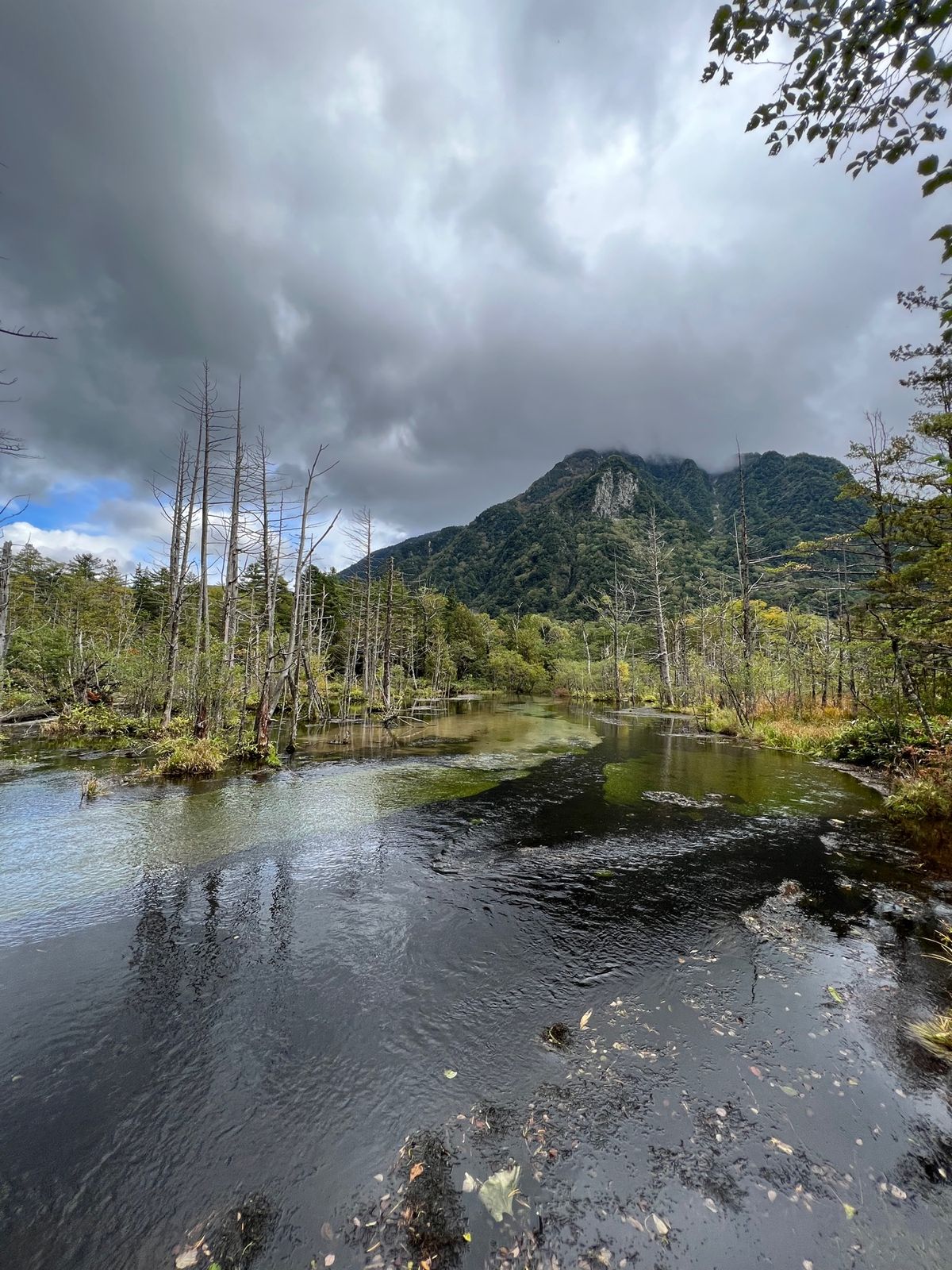 岳沢湿原

チェックインまで時間があったので岳沢湿原まで散策。猿がたくさんいた。