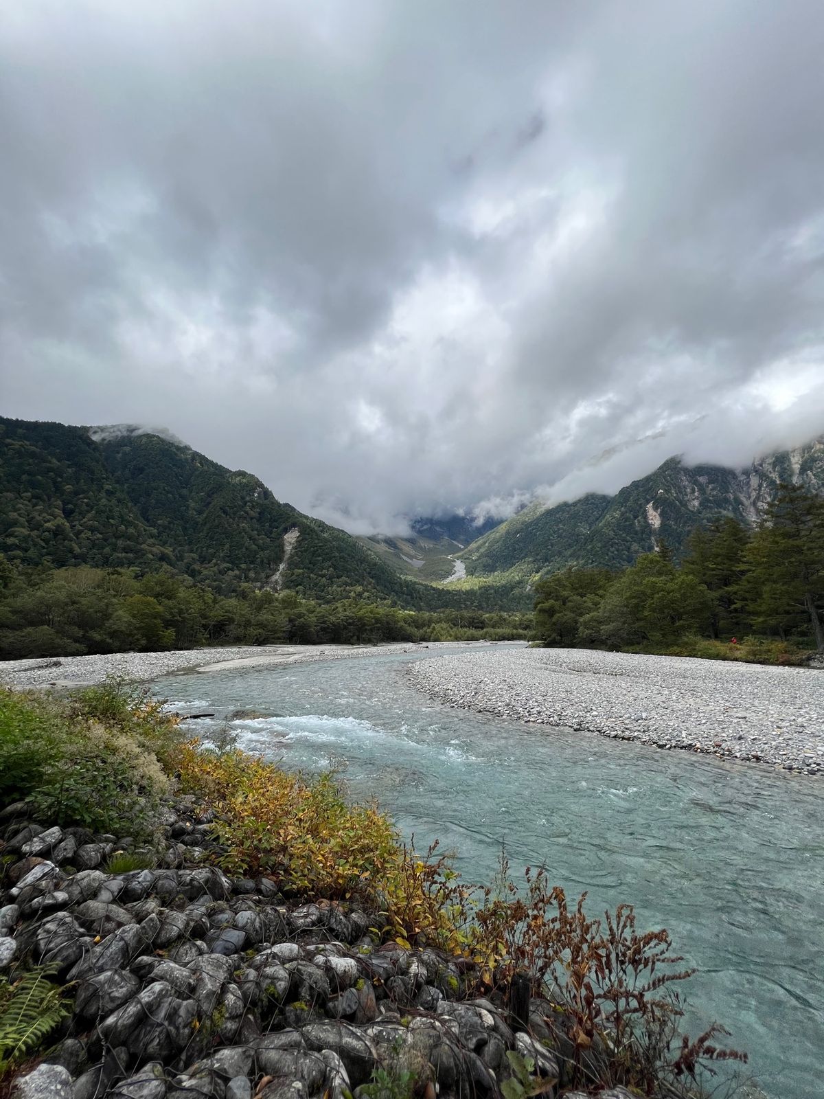 岳沢湿原

チェックインまで時間があったので岳沢湿原まで散策。猿がたくさんいた。