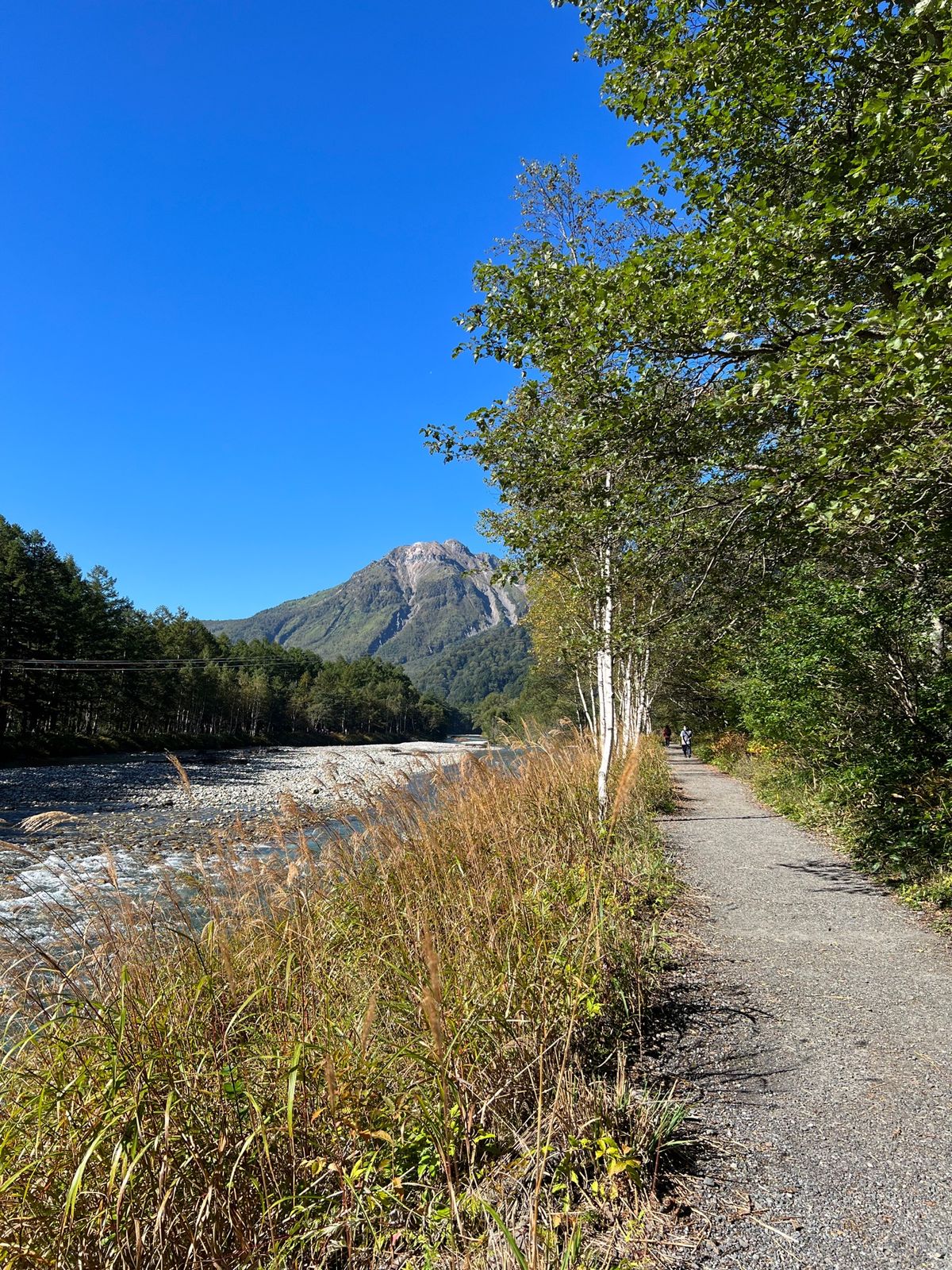 川沿いを歩いて大正池へ