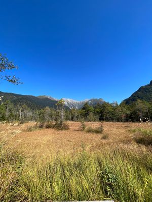 田代池

手前の休憩場所から穂高連峰が見えます。

河童橋からはなぜか2時...