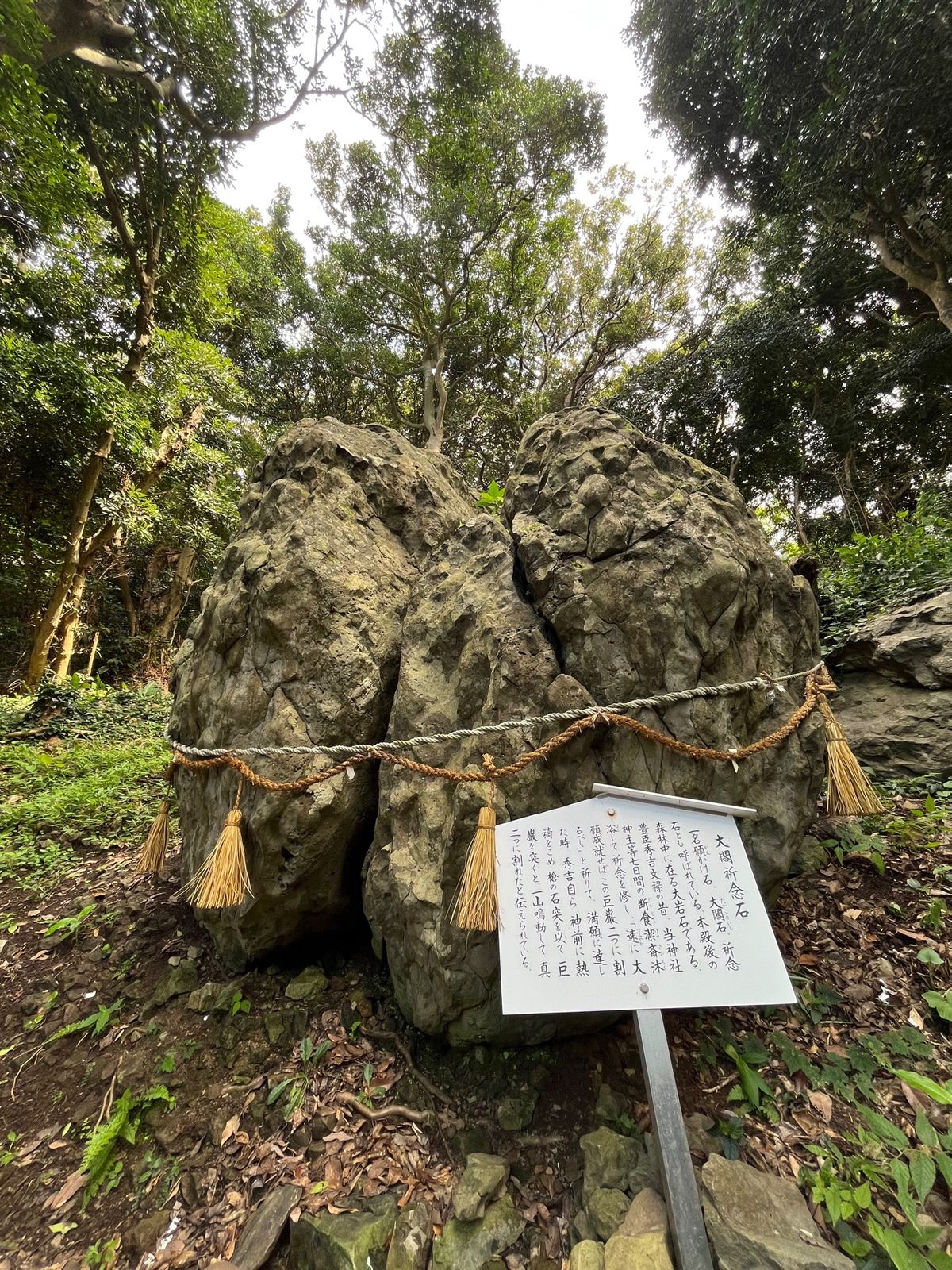 📍田嶋神社

門から見える景色が最高でした◎
普段海を見ないから、海見ると...