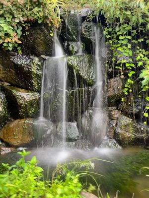 くらげと里山