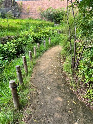 くらげと里山