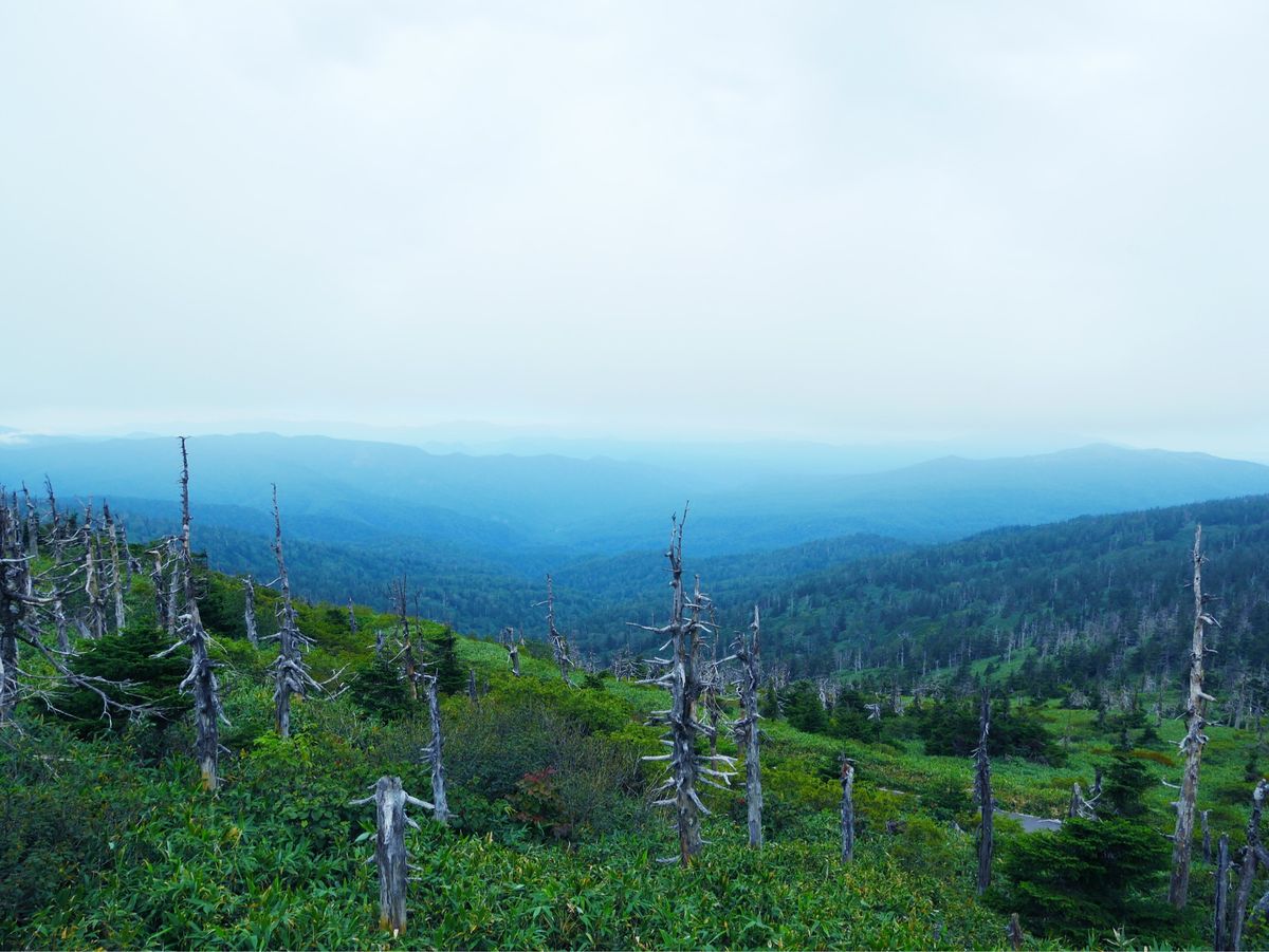 八幡平アスピーテライン🚗³₃