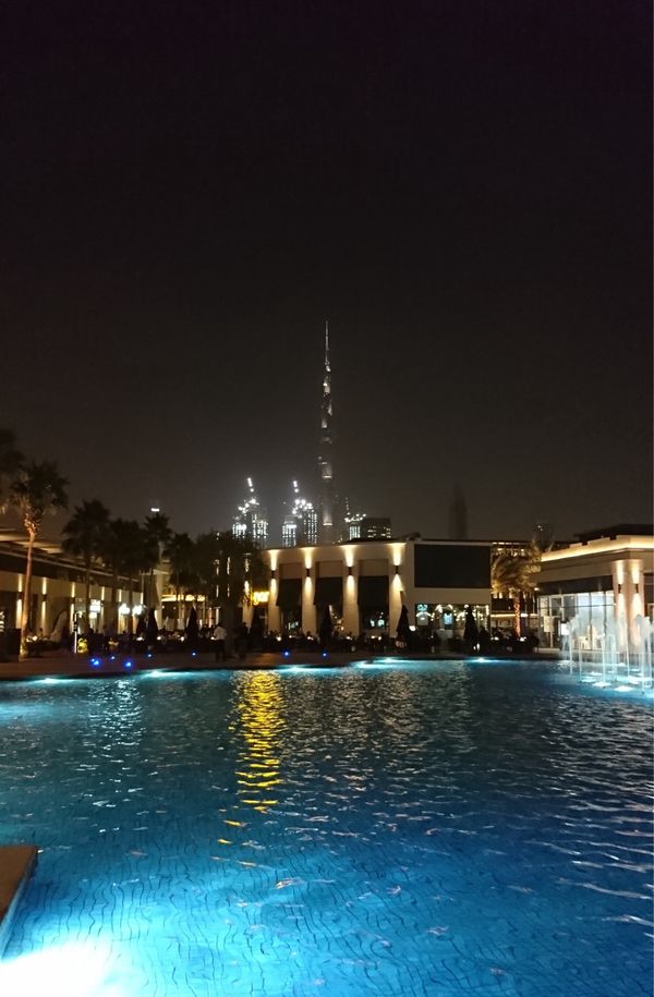 アラブ首長国連邦・ドバイ「UAEフードショー参加」の写真