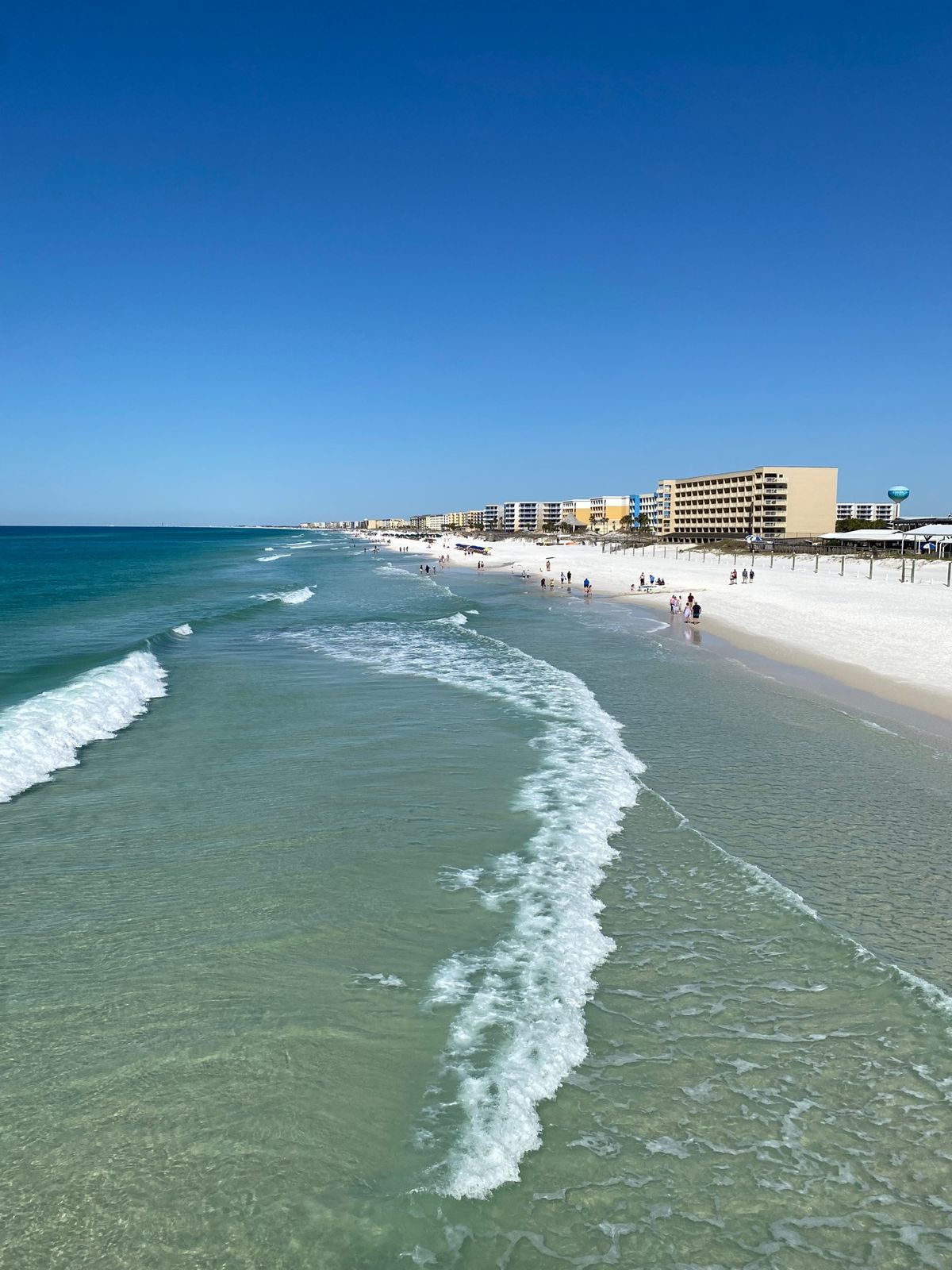 whataburger最高に美味しかった！