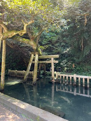 茨城県　鹿島神宮
●鳥居
●楼門
●御手洗池
●要石

はじめての鹿島神宮...