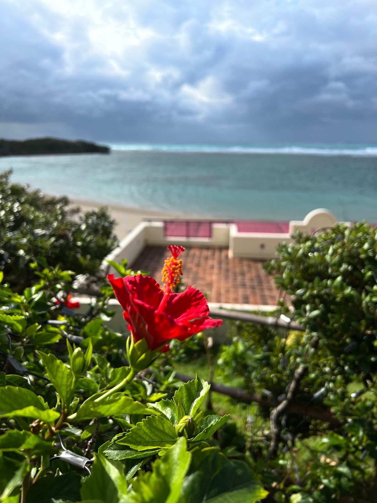 ホテル日航アリビラ
●アリビラの紹介によく使われるカット
●今年10月から...