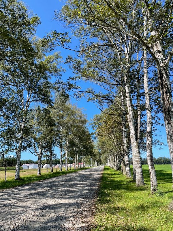 日本・北海道「北海道旅行」の写真：☀️恵庭→帯広
朝、おにぎりを食べ帯広方...
