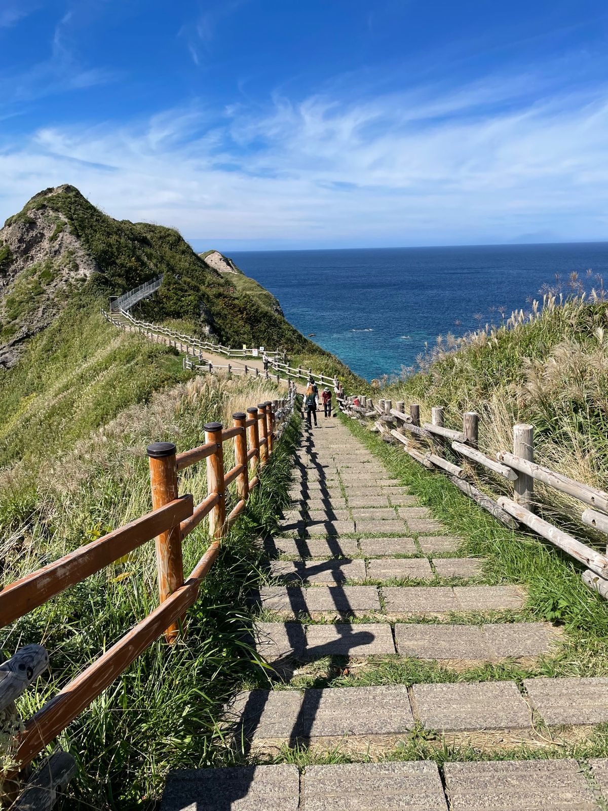 ☀️札幌→積丹半島→小樽→札幌
青空の中、積丹半島へ。お昼は中村屋の海鮮丼...