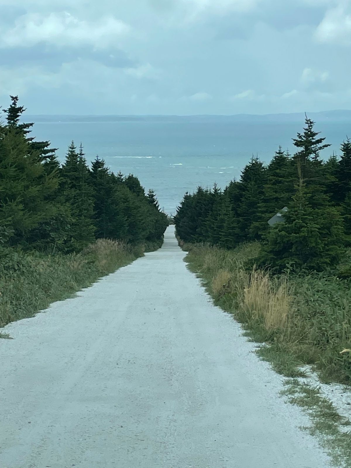 ☀️サロマ湖→宗谷岬→白い道→→オロロン街道→札幌
朝6時から車を走らせ宗...