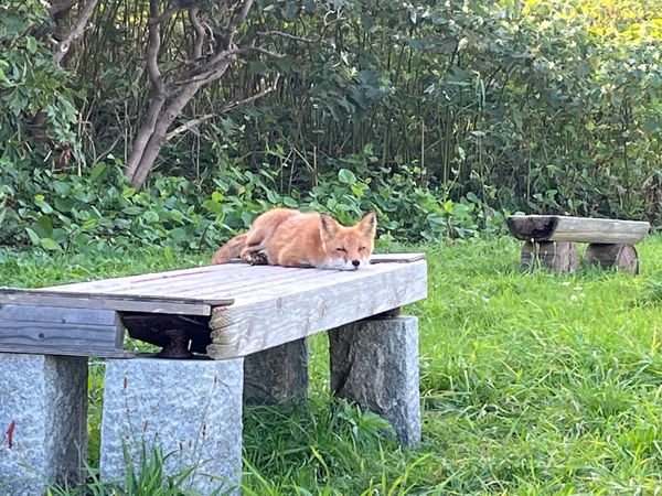 日本・北海道「北海道旅行」の写真