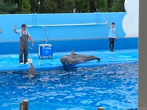 スノボ以外で初新潟県🍚🌾✨
友達に案内してもらい、マリンピア日本海と、小針...