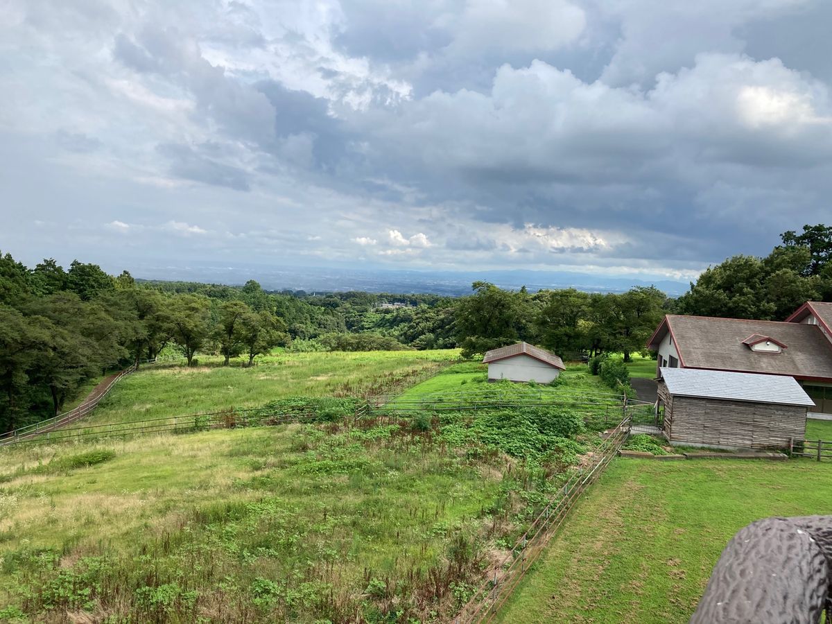 吹き割りの滝と大胡ぐりーんふらわー牧場に行きました。天気が微妙でしたが、楽...