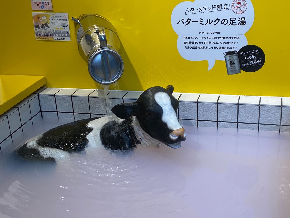 雨降りの中、モネの池へ。
凄く綺麗でした！！
下呂温泉最高！