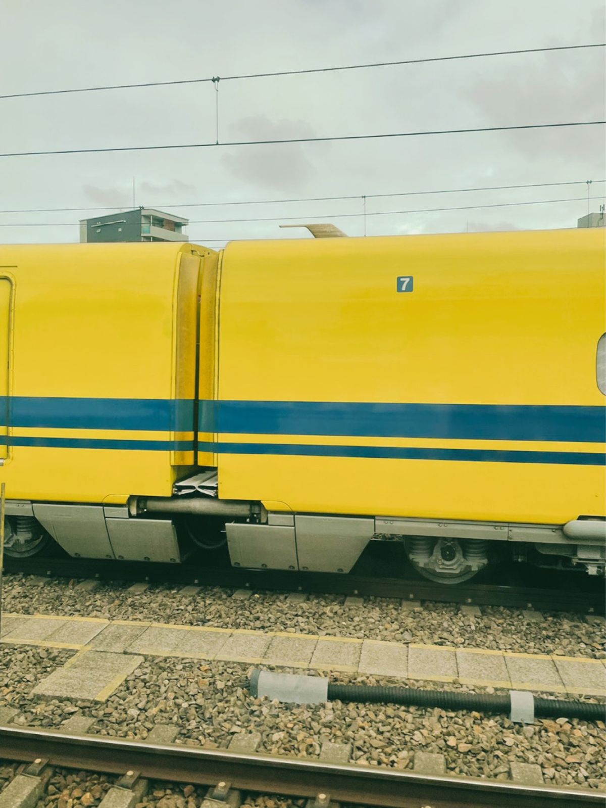 名古屋あたりでドクターイエローに遭遇
そしてまたうどん