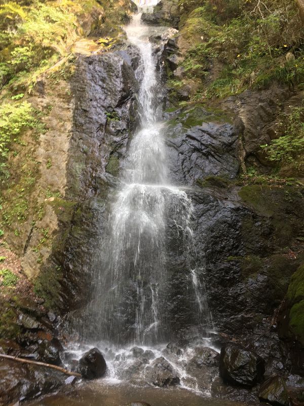 日本・愛媛県「東温市白猪の滝」の写真