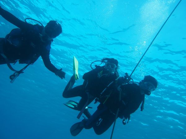 日本・高知県「高知県大月町柏島」の写真