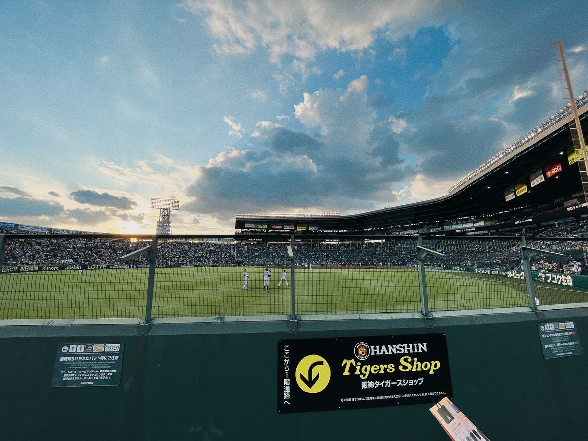 甲子園球場にて野球観戦⚾️
タイガース仕様の御朱印もゲットしました！