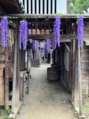 映画村4