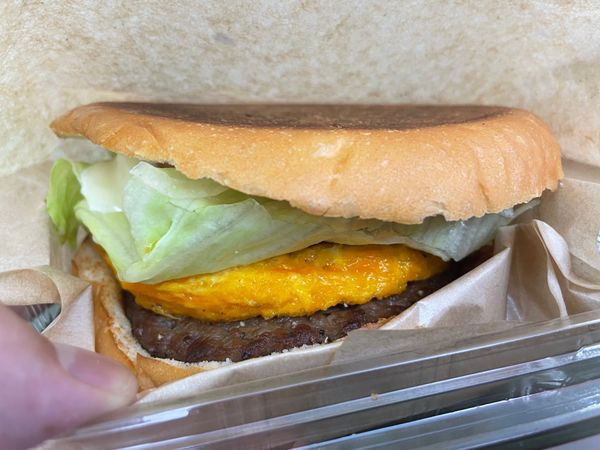 日本・長崎県「長崎ハウテン」の写真：長崎空港ラストスパート